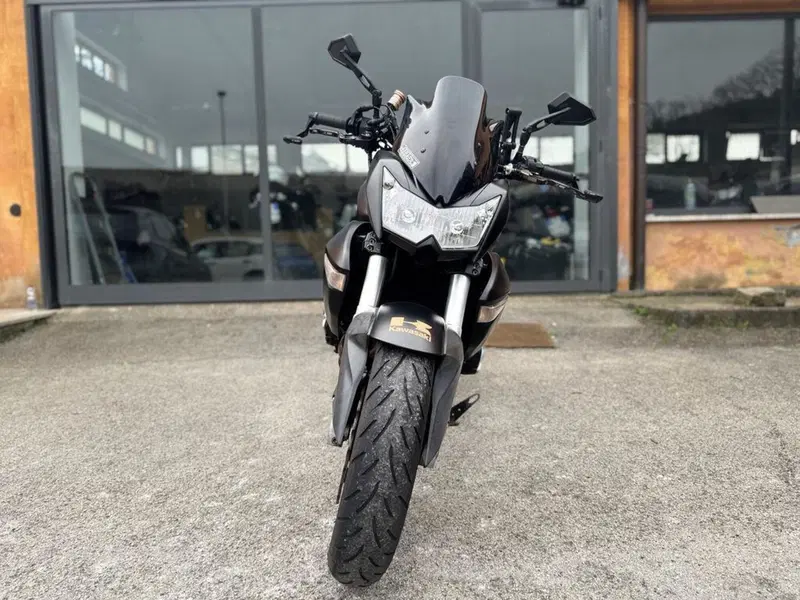 Kawasaki Z 1000 (2007 - 09) (3)
