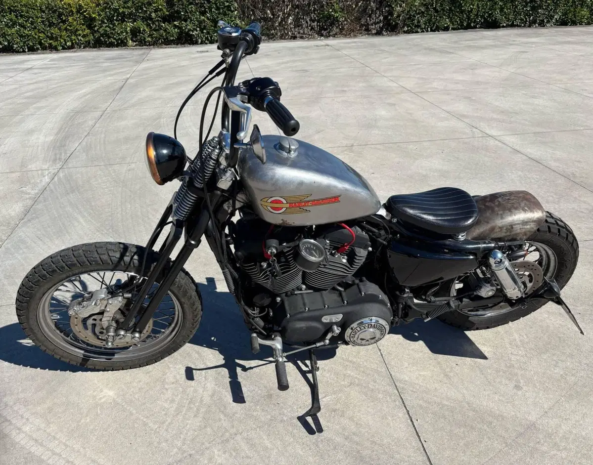 Harley-Davidson 1200 Roadster (2006 - 08) - XL 1200R (2)