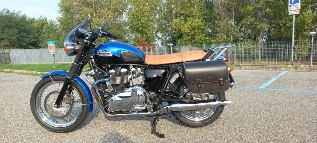 Triumph Bonneville T100 SE (2014) (7)