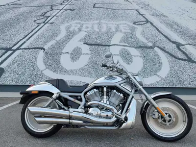 Harley-Davidson 1130 V-Rod (2002 - 05) - VRSCA usata