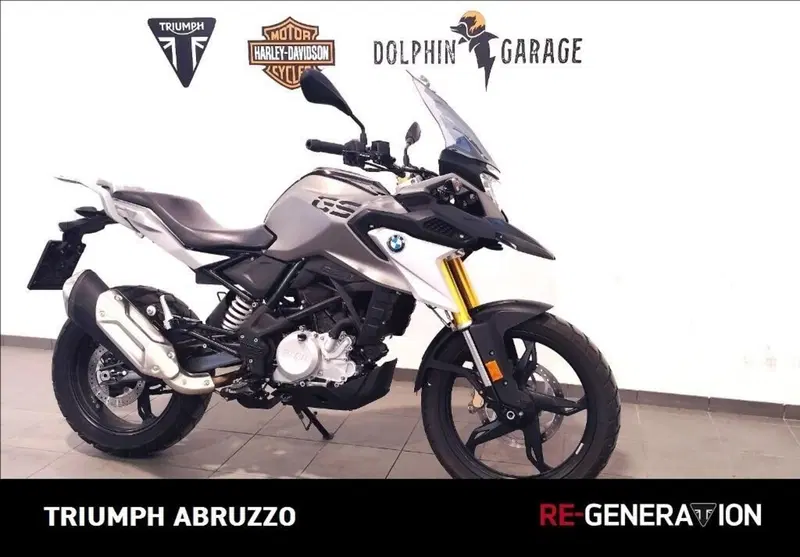 Bmw G 310 GS (2017 - 20) (3)