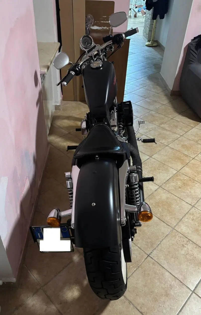 Harley-Davidson 1200 Seventy-Two (2011 - 16) (6)