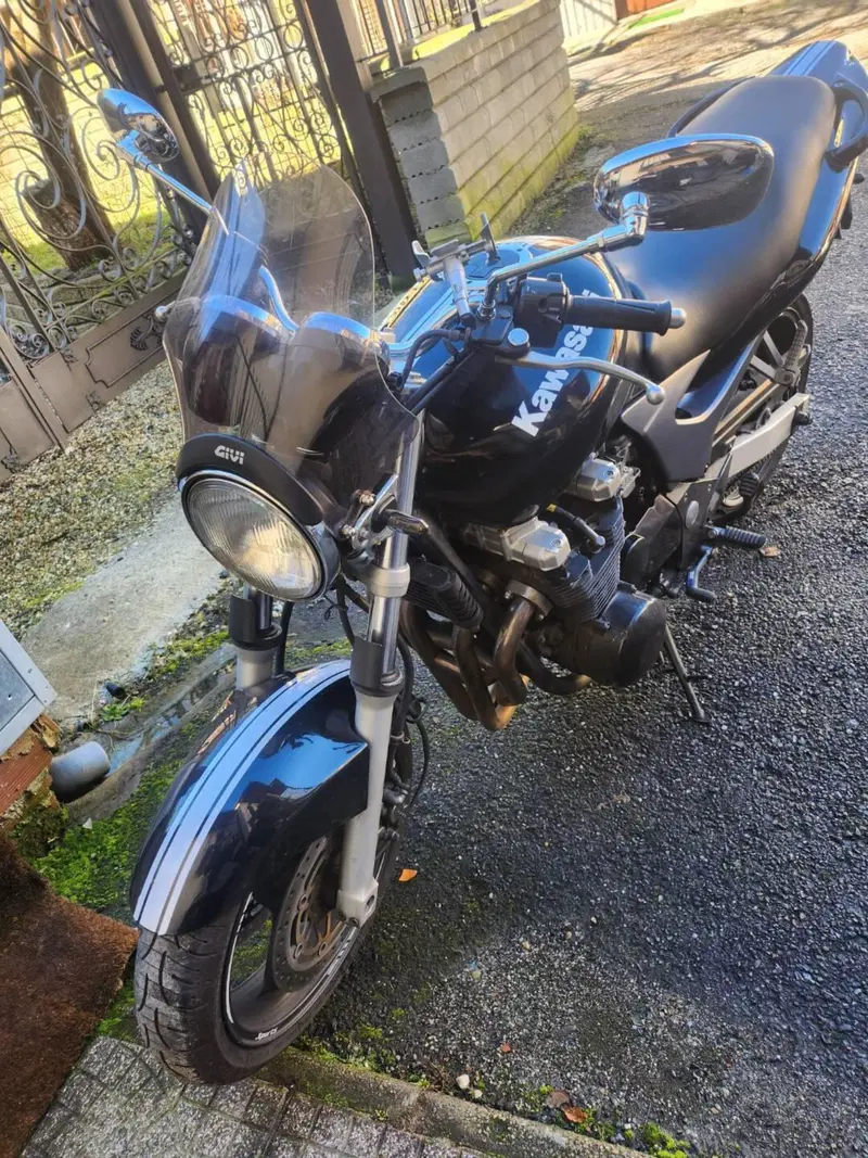 Kawasaki ZR-7 (1999 - 00) (2)