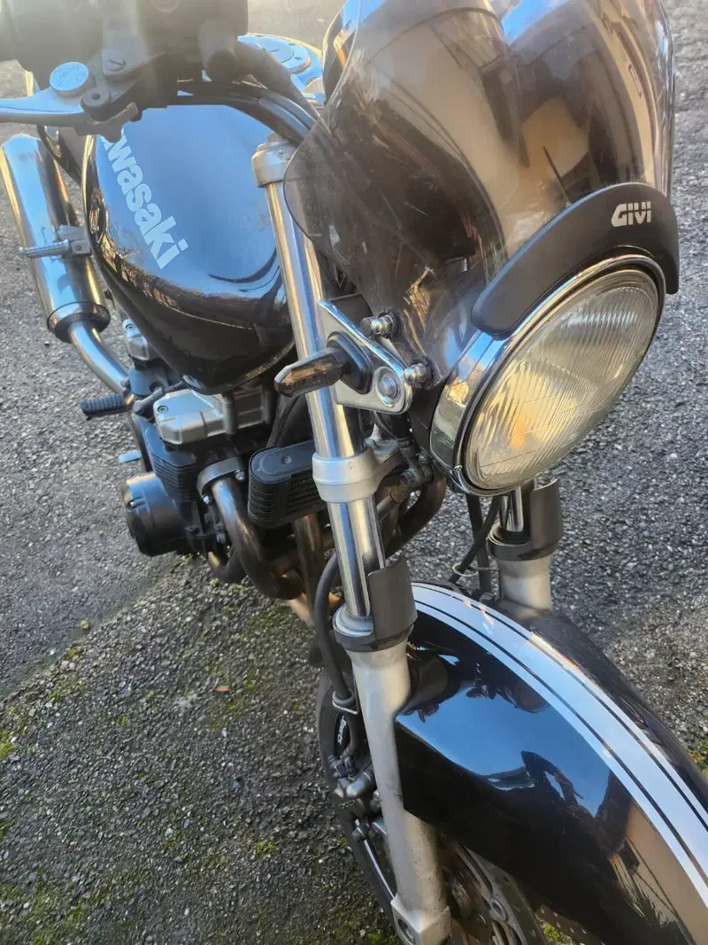 Kawasaki ZR-7 (1999 - 00) (6)