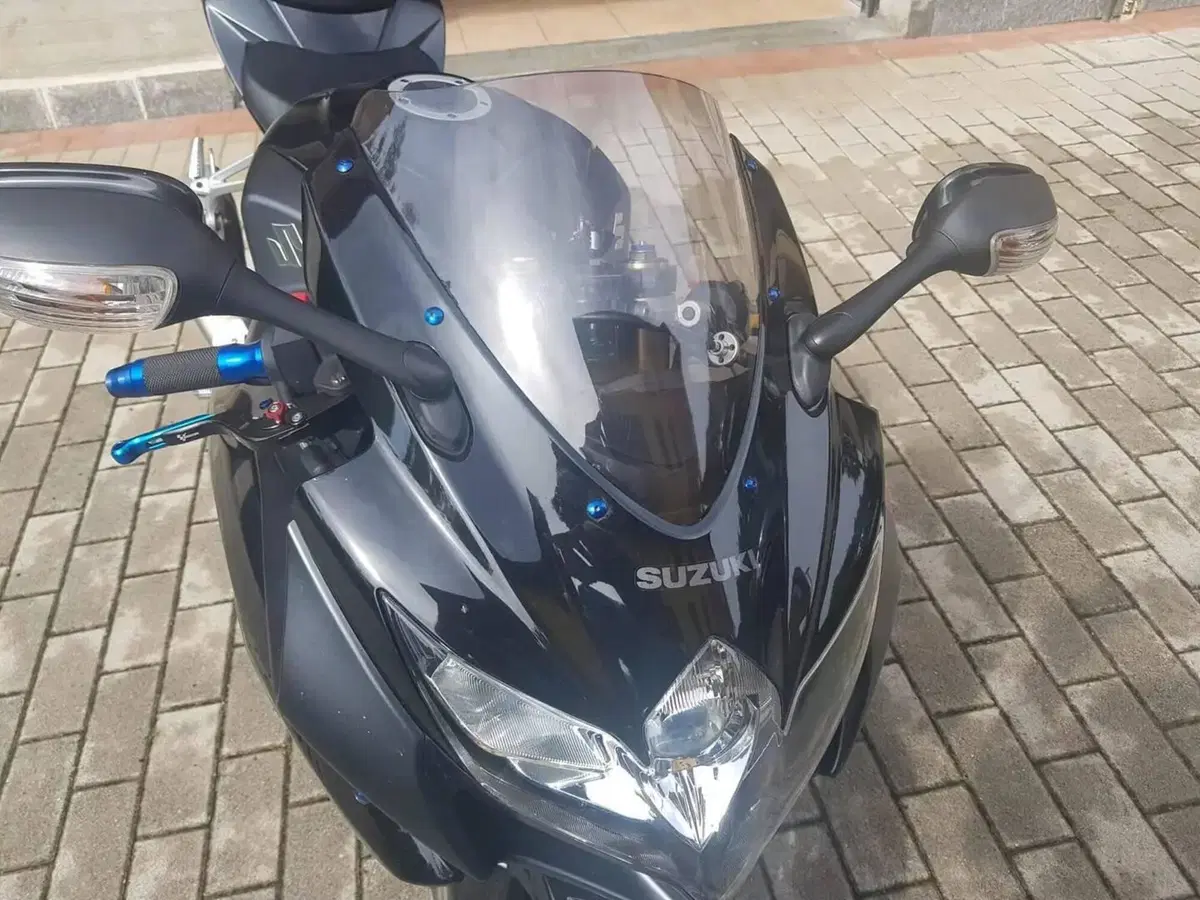 Suzuki GSX R 600 (2008 - 10) (2)