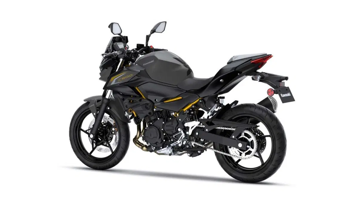 Kawasaki Z 500 Z 500 Performance Remus (2026) (2)