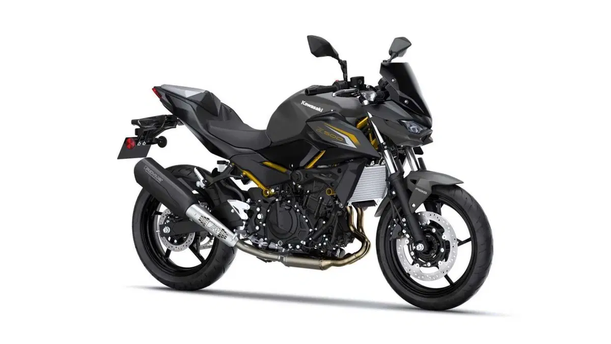 Kawasaki Z 500 Z 500 Performance Remus (2026)