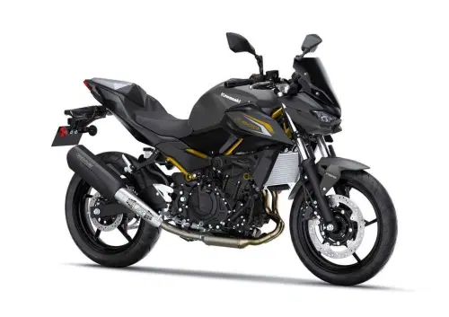 Kawasaki Z 500 Performance Remus (2026)