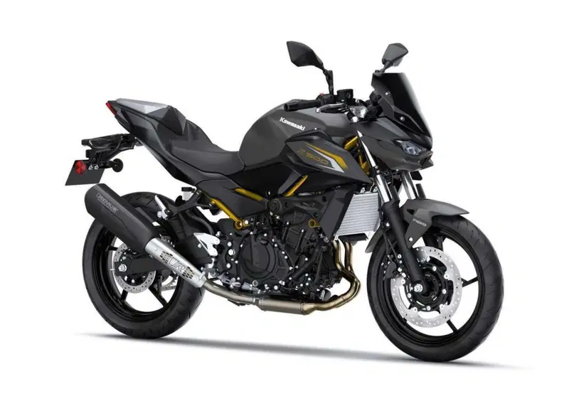 Kawasaki Z 500 Z 500 Performance Remus (2026)