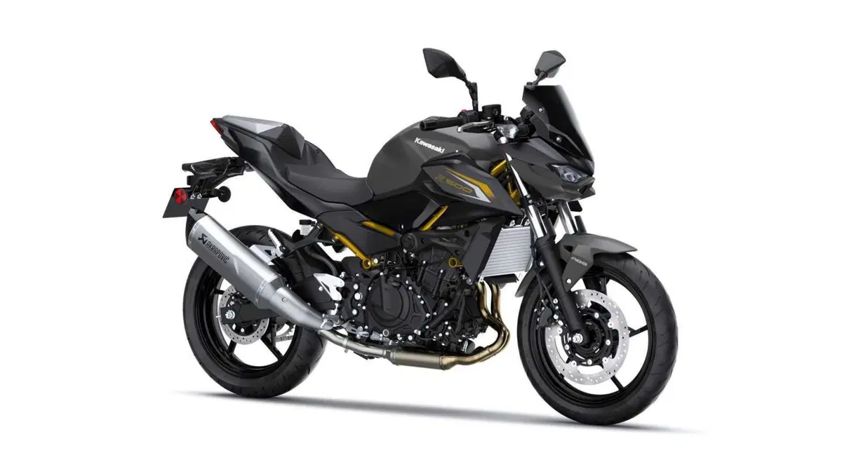 Kawasaki Z 500 Z 500 Performance Akrapovic (2026)