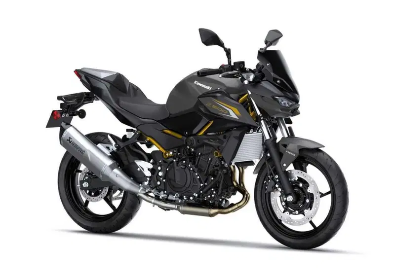Kawasaki Z 500 Z 500 Performance Akrapovic (2026)