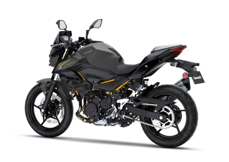 Kawasaki Z 500 Z 500 Performance Akrapovic (2026) (2)