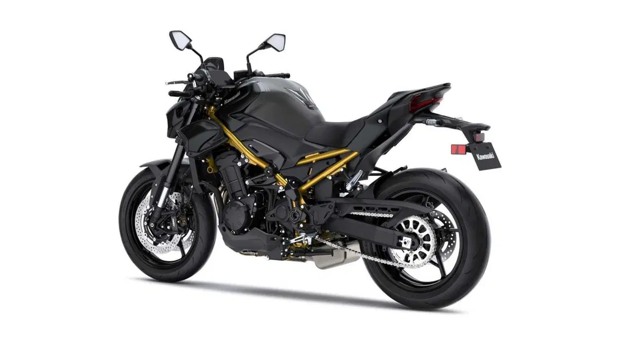 Kawasaki Z 900 Z 900 A2 Performance Plus (2026) (2)