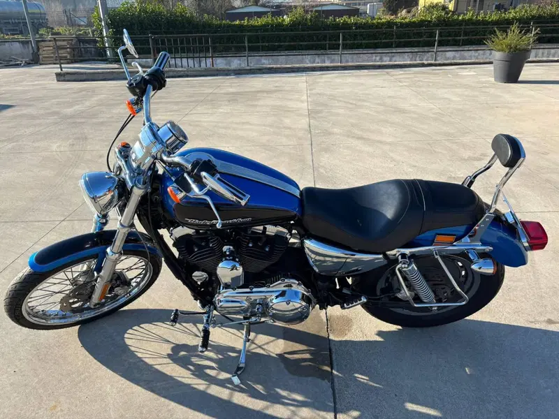 Harley-Davidson 1200 Custom (2004 - 06) - XL 1200C