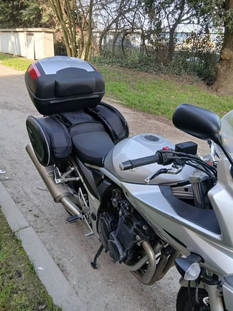 Suzuki GSF 650 Bandit S (2005 - 06) (7)