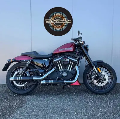 Harley-Davidson 1200 Roadster (2016 - 2017) - XL 1200R usata