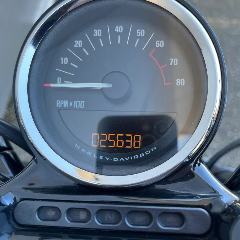 Harley-Davidson 1200 Roadster (2016 - 2017) - XL 1200R (9)