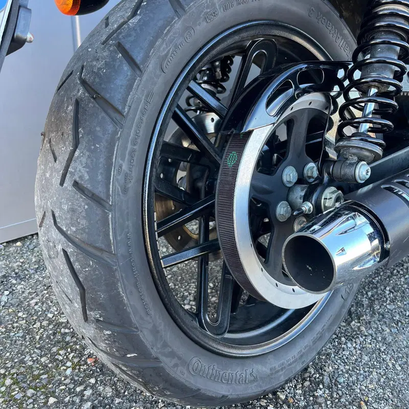Harley-Davidson 1200 Roadster (2016 - 2017) - XL 1200R (4)