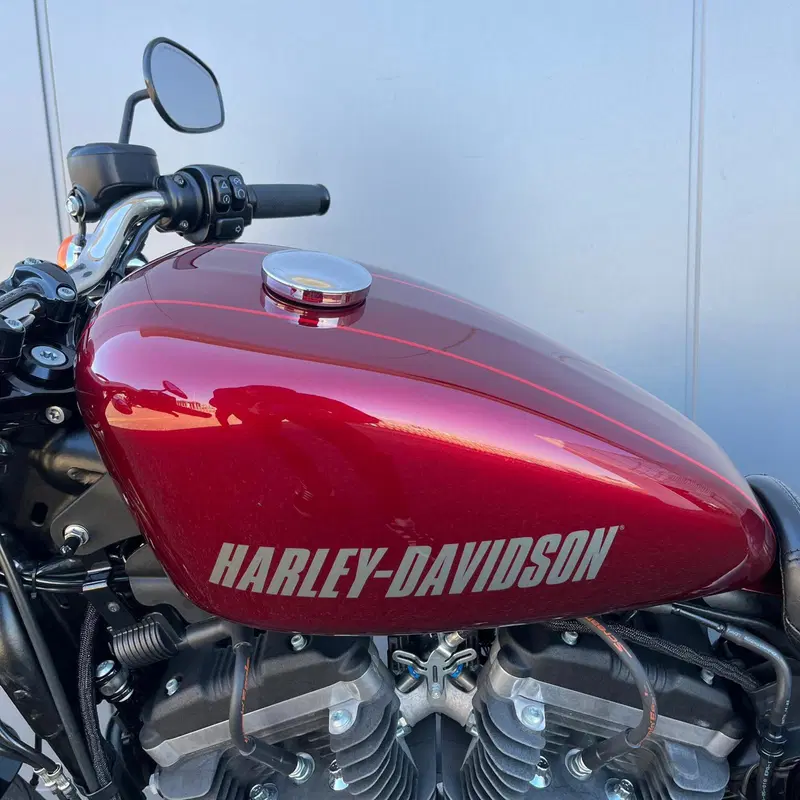 Harley-Davidson 1200 Roadster (2016 - 2017) - XL 1200R (20)