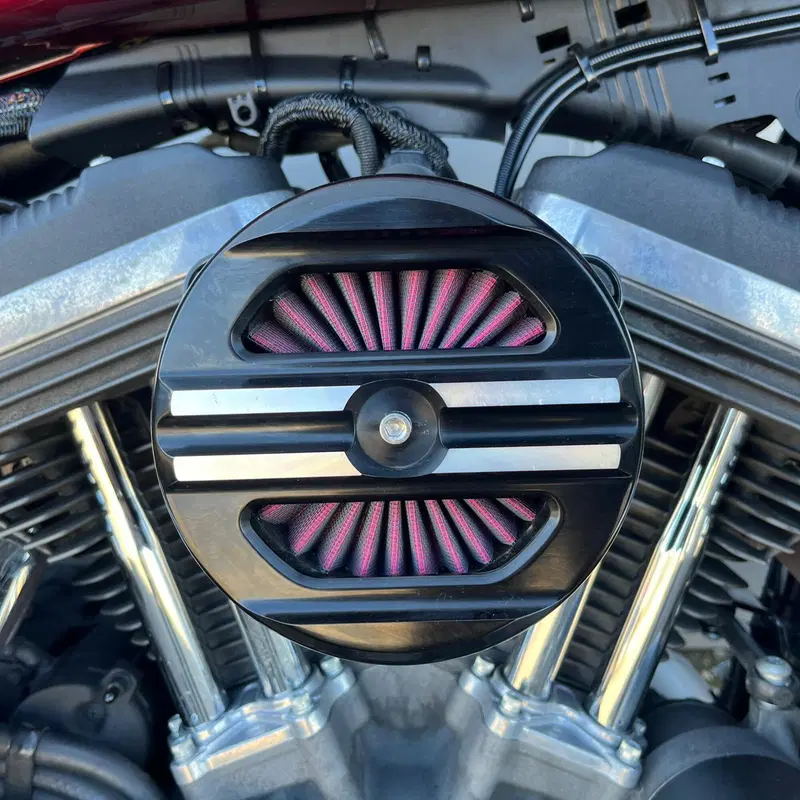 Harley-Davidson 1200 Roadster (2016 - 2017) - XL 1200R (12)
