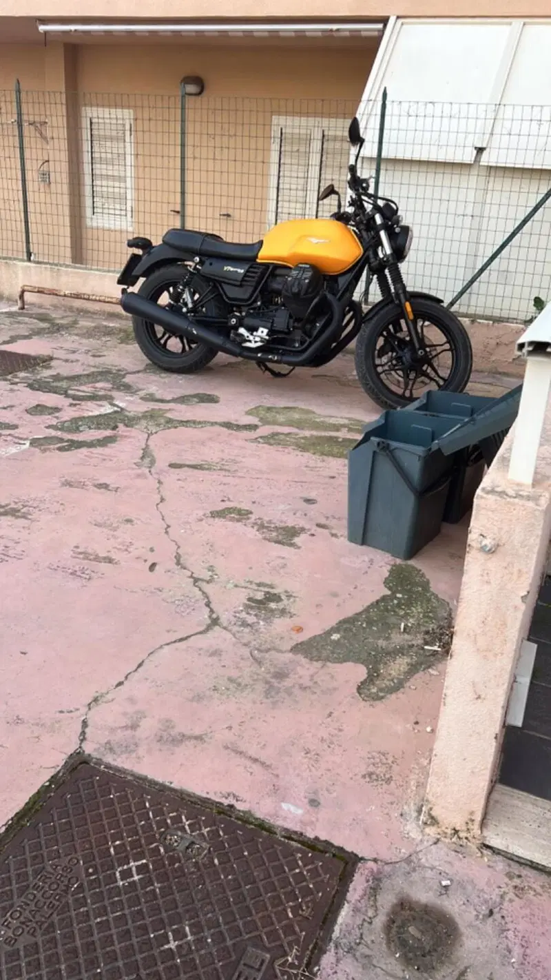 Moto Guzzi V7 III Racer (2017 - 20) (14)