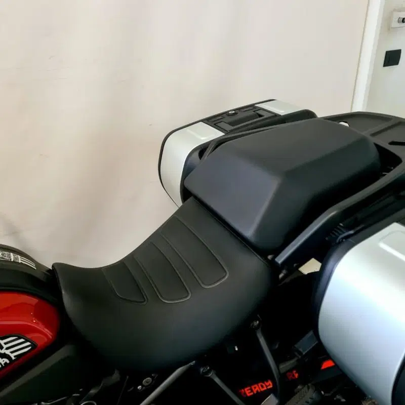 Harley-Davidson Pan America 1250 Special (2020 - 25) (12)