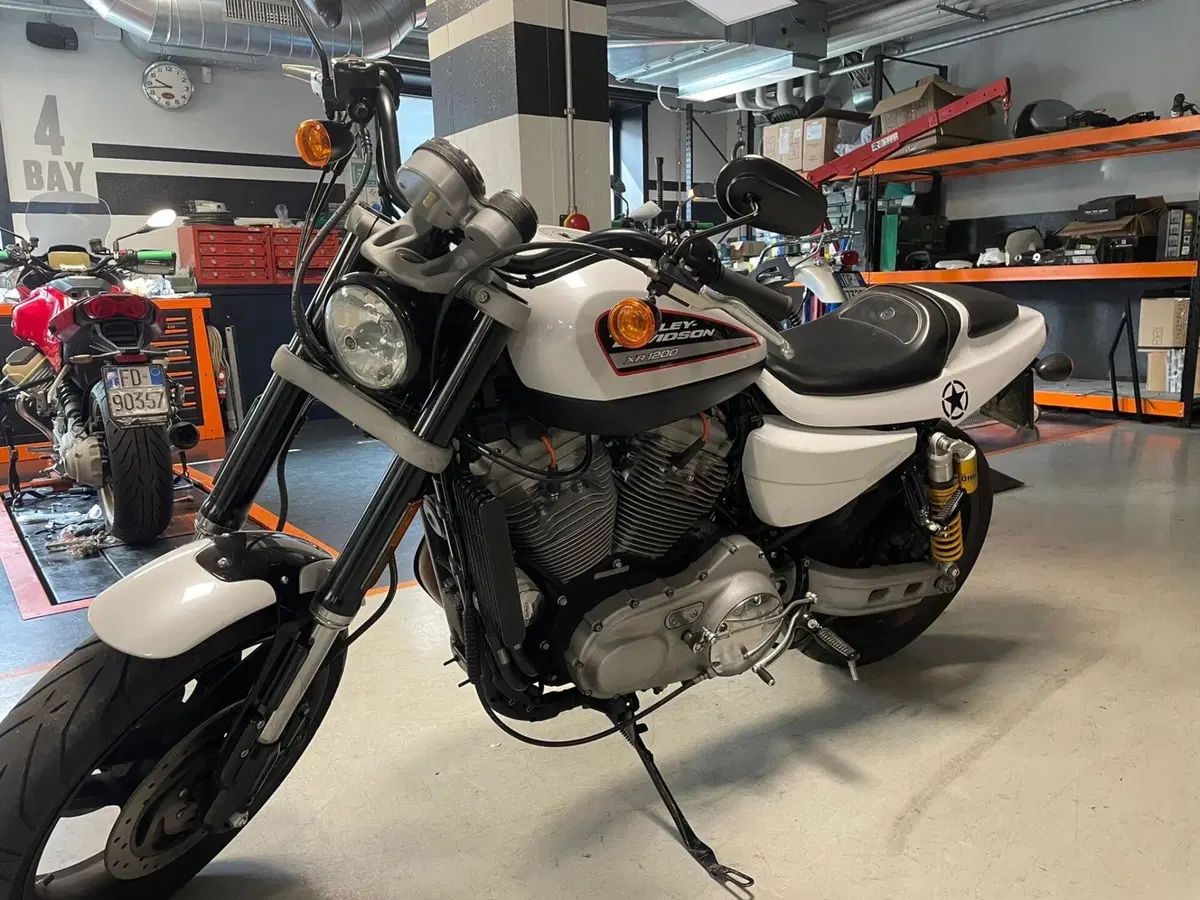 Harley-Davidson 1200 XR (2009 - 12) (4)