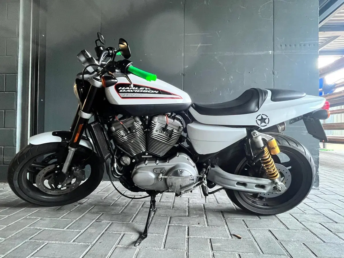 Harley-Davidson 1200 XR (2009 - 12) (6)