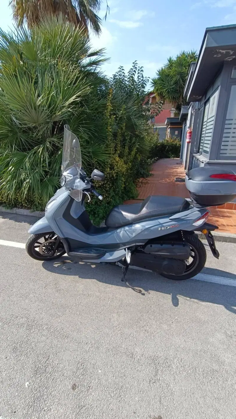 Sym HD 300 (2019 - 20)