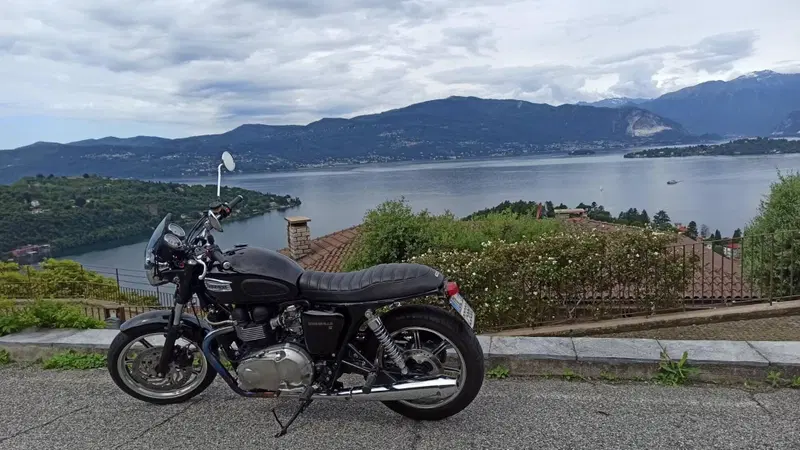 Triumph Bonneville SE (2009 - 13) (3)