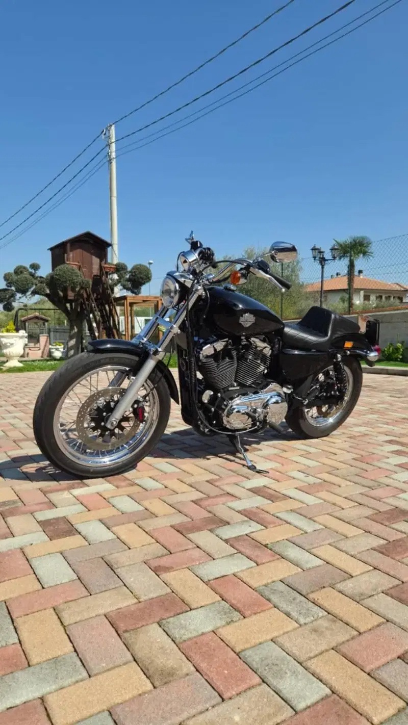 Harley-Davidson 1200 Low (2006 - 07) - XL 1200L