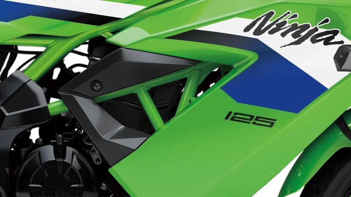 Kawasaki Ninja 125 Ninja 125 Performance (2026) (3)