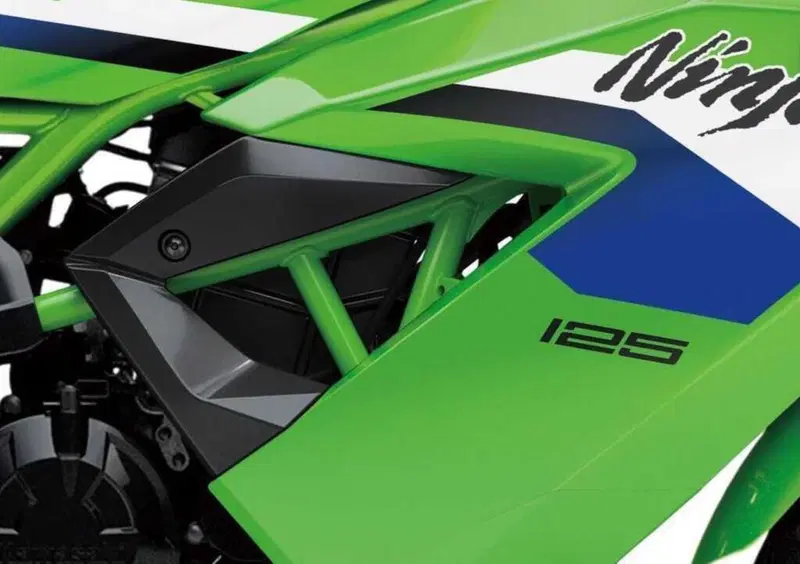 Kawasaki Ninja 125 Ninja 125 Performance (2026) (3)