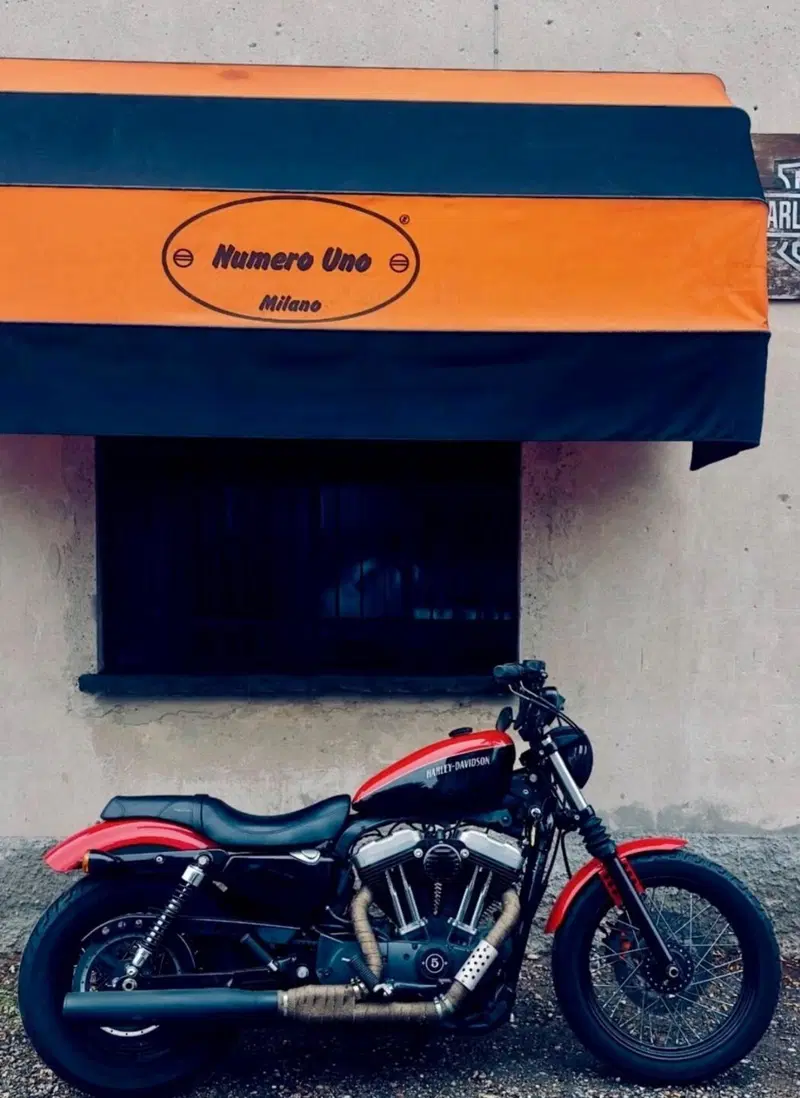 Harley-Davidson XL 1200N Nightster (2008 - 12) (9)