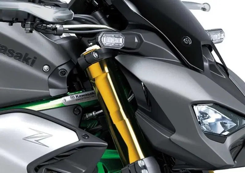 Kawasaki Z 900 Z 900 SE (2025 - 26) (5)