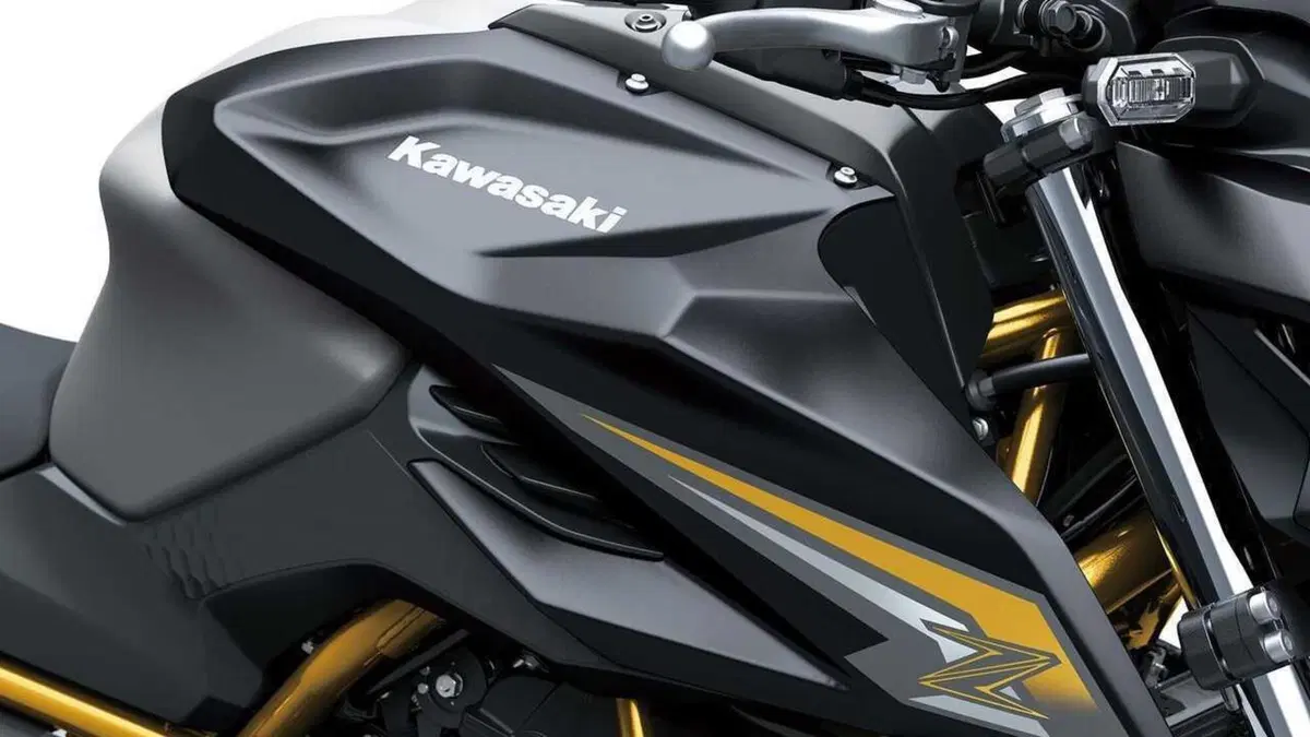 Kawasaki Z 650 Z 650 S (2026 - 27) (11)