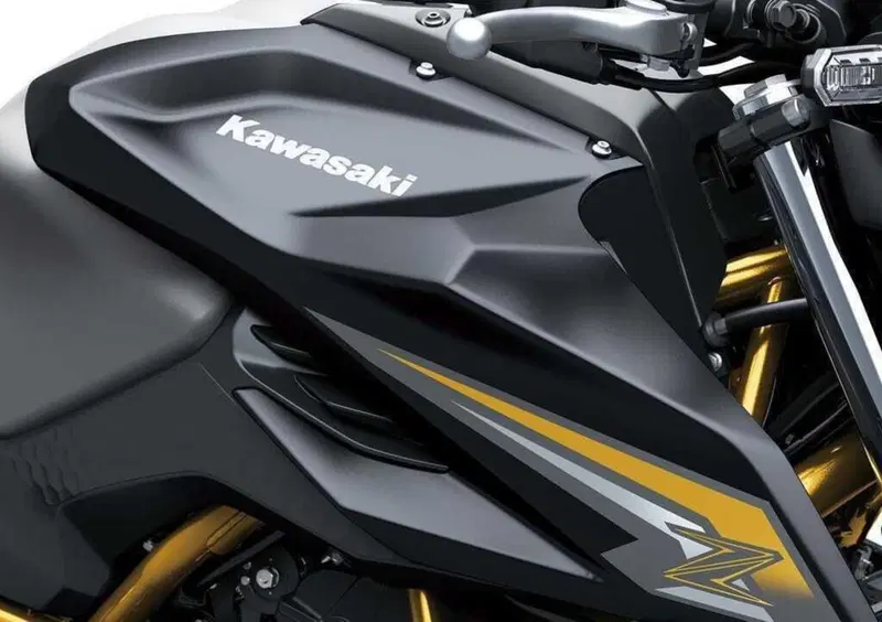 Kawasaki Z 650 Z 650 S (2026) (11)