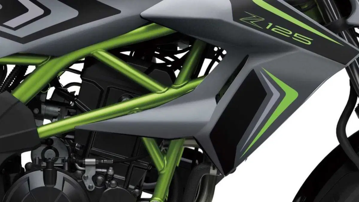 Kawasaki Z 125 Z 125 (2025 - 26) (4)