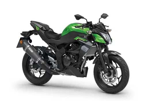 Kawasaki Z 125 Performance (2026)