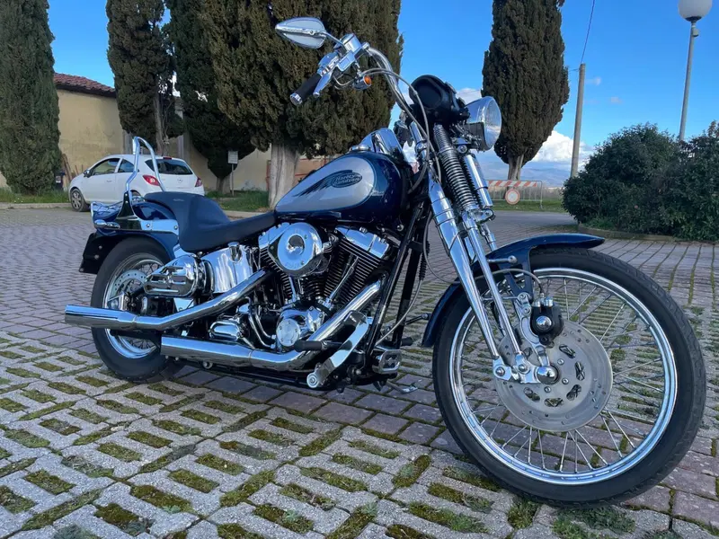 Harley-Davidson 1450 Springer (1999 - 00) - FXSTS (5)