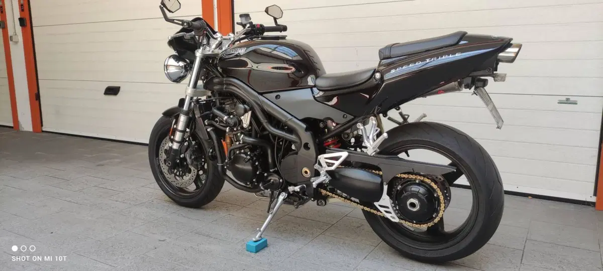 Triumph Speed Triple 955 (2002 - 04) (6)