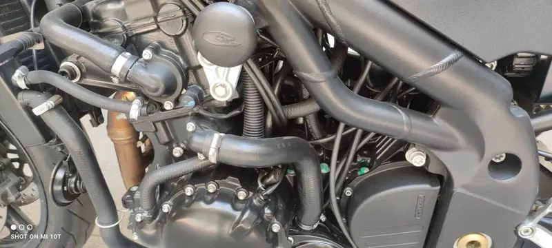 Triumph Speed Triple 955 (2002 - 04) (12)