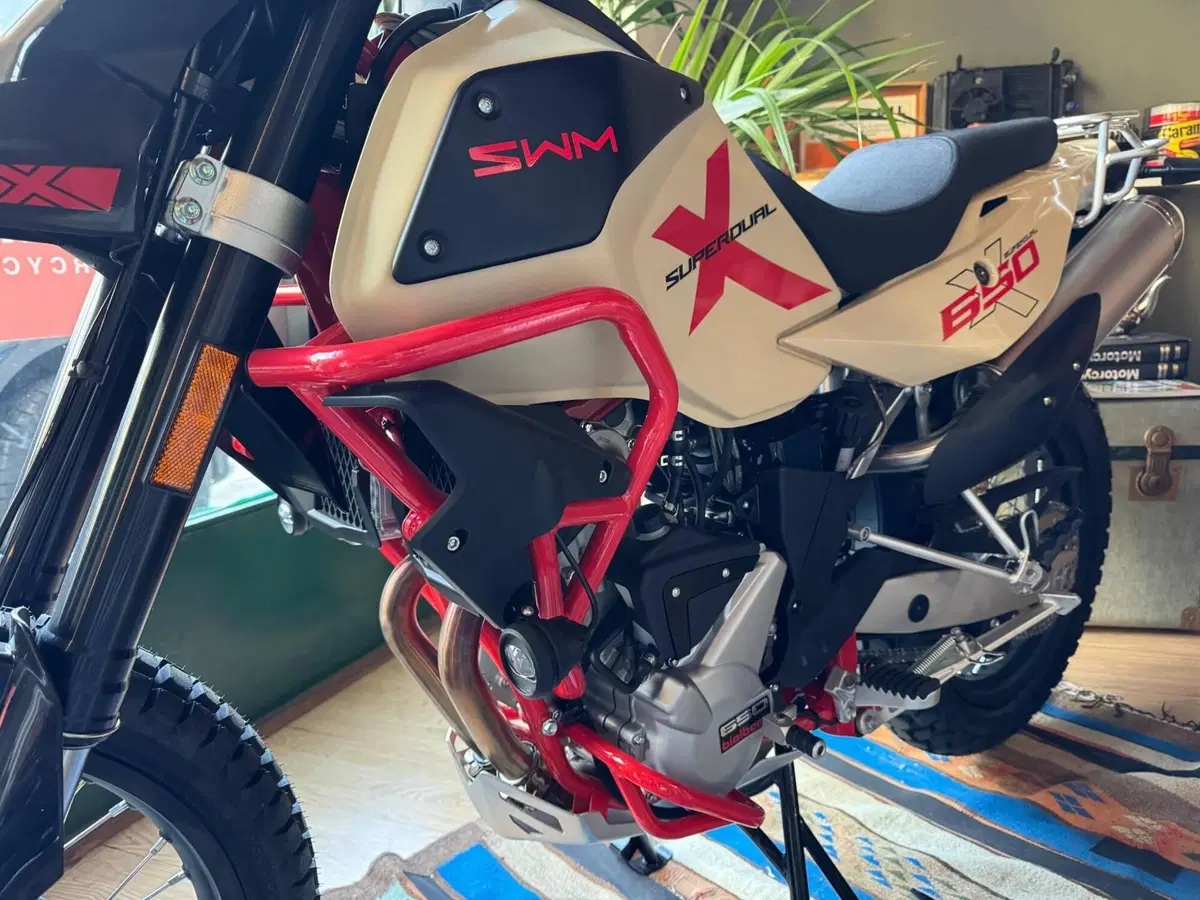 Swm Superdual 600 X (2025 - 26) (3)