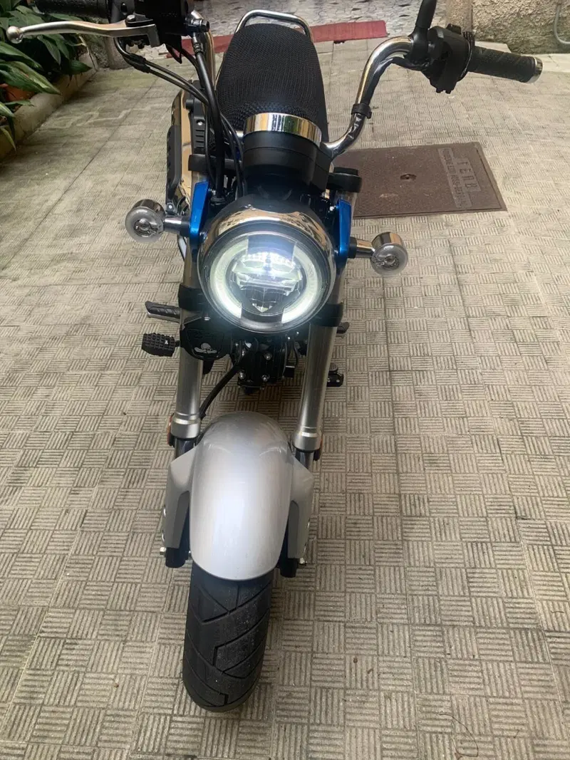 Honda Dax 125 (2025 - 26) (6)