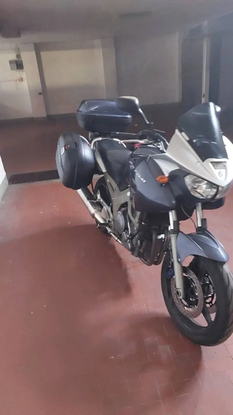 Yamaha TDM 900 (2002 - 14) (8)