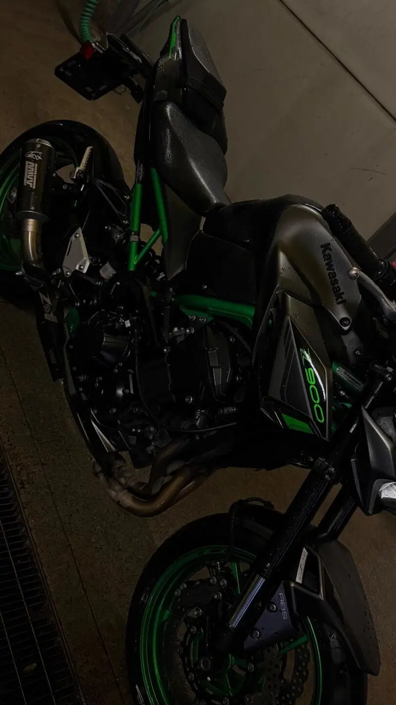Kawasaki Z 900 (2021 - 24)