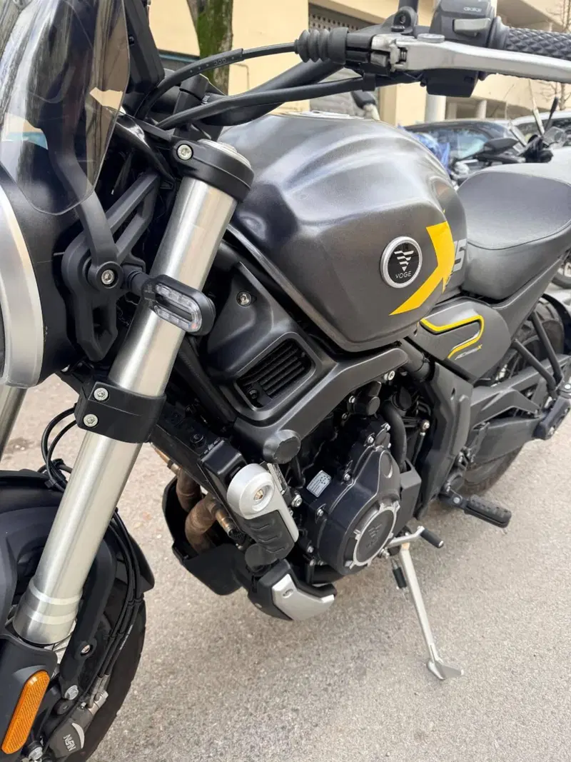 Voge Trofeo 525ACX Scrambler (2023 - 26) (8)