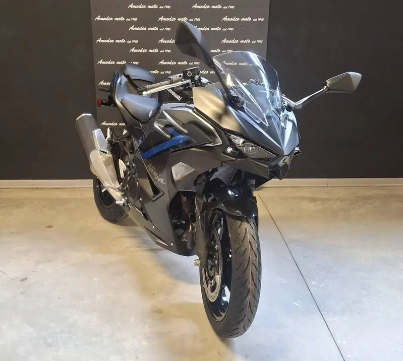 Kawasaki Ninja 500 SE (2024 - 26)