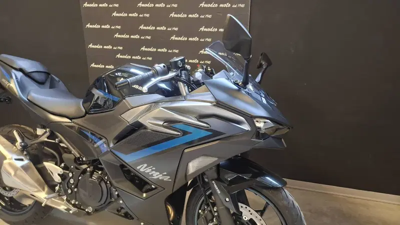 Kawasaki Ninja 500 SE (2024 - 26) (6)