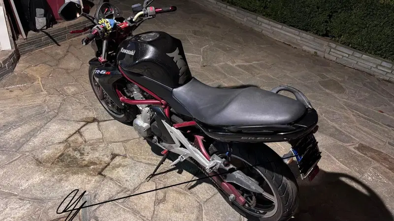 Kawasaki ER-6N (2005 - 08) (2)